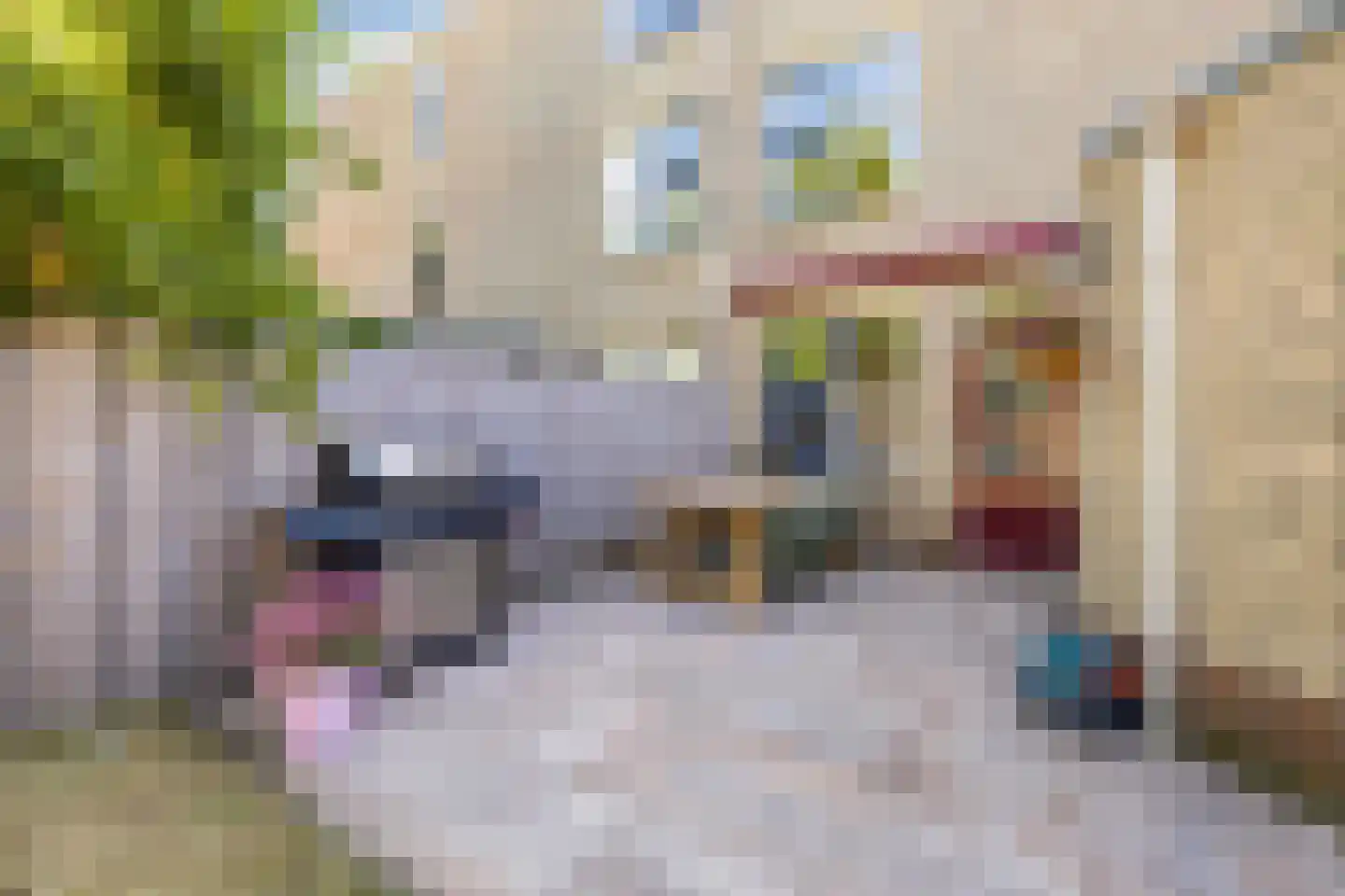 Damwand 48 Huizen thumbnail 20
