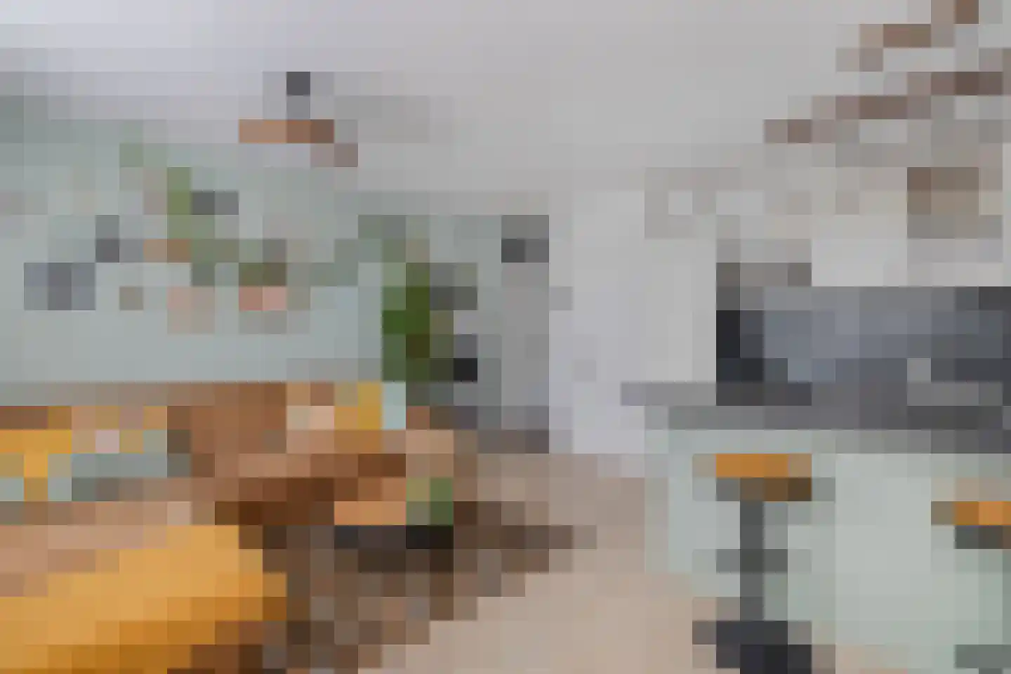 Damwand 48 Huizen thumbnail 9