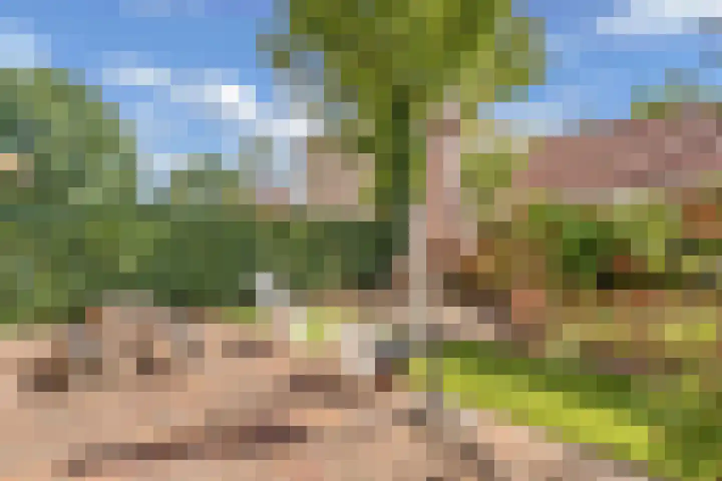 Damwand 6 Huizen thumbnail 19