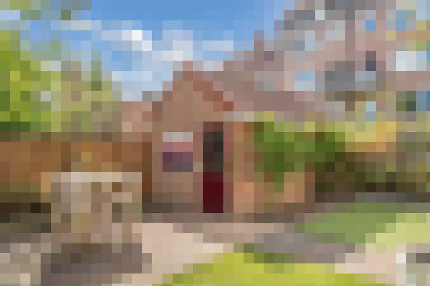 Damwand 6 Huizen thumbnail 20