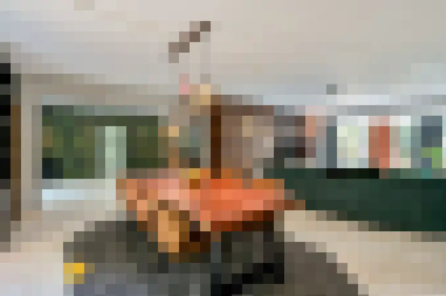 Damweg 1 A 't Harde thumbnail 11