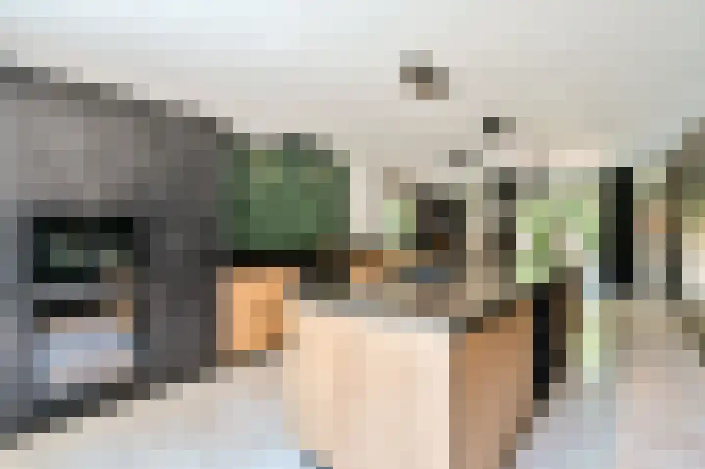 Damweg 1 A 't Harde thumbnail 15