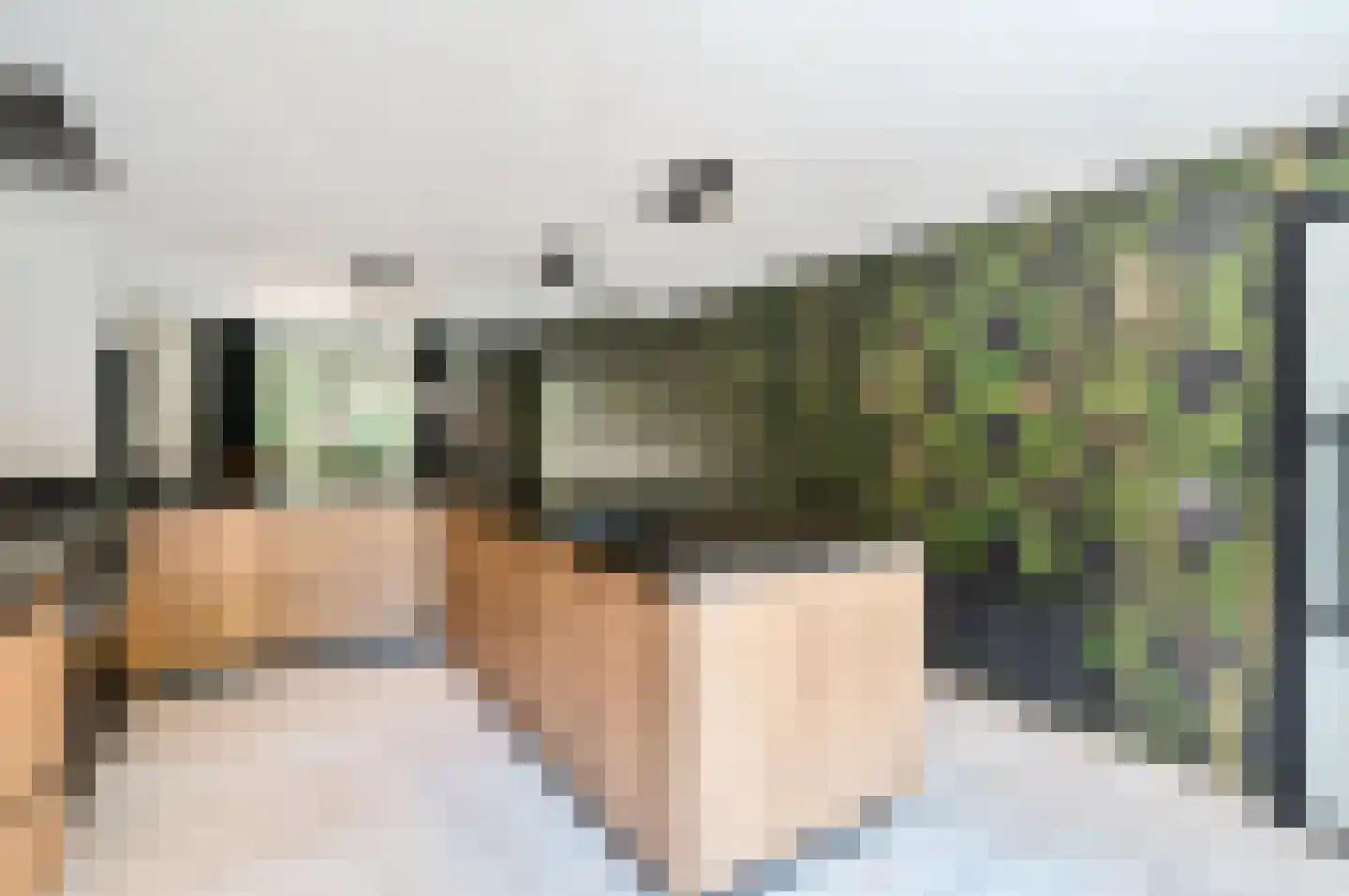Damweg 1 A 't Harde thumbnail 16