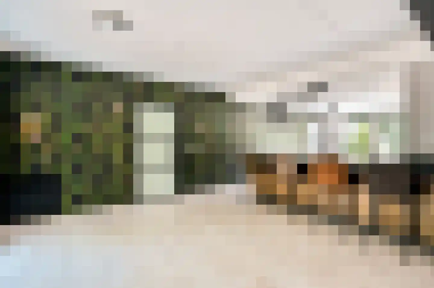 Damweg 1 A 't Harde thumbnail 17