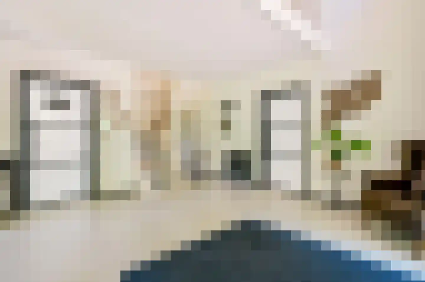 Damweg 1 A 't Harde thumbnail 18