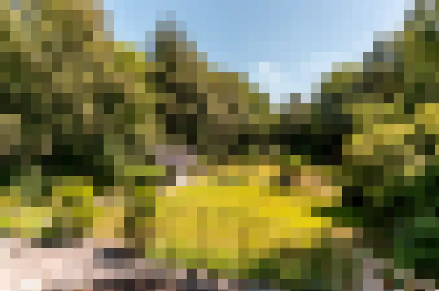 Damweg 1 A 't Harde thumbnail 26