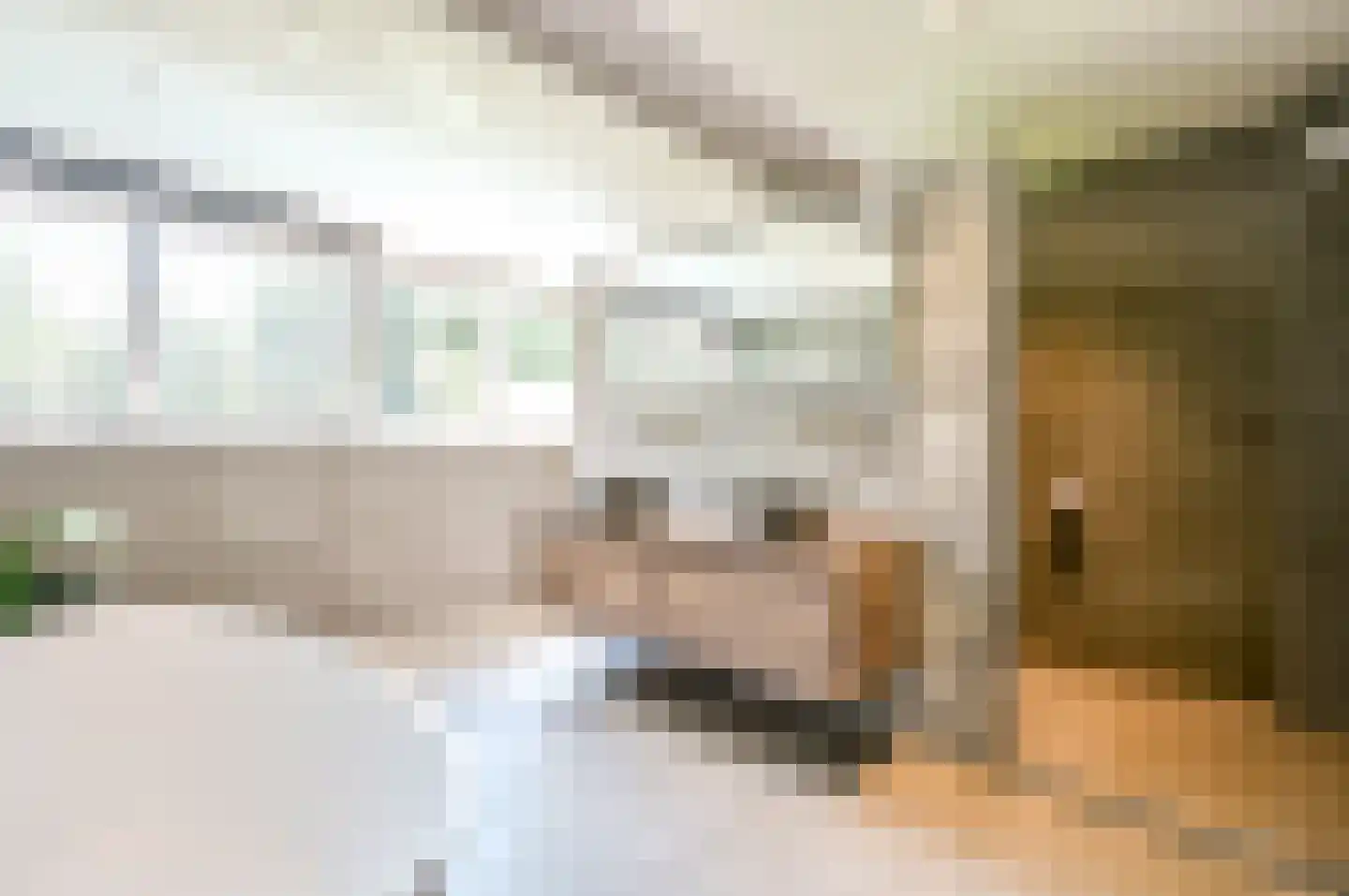 Damweg 1 A 't Harde thumbnail 33