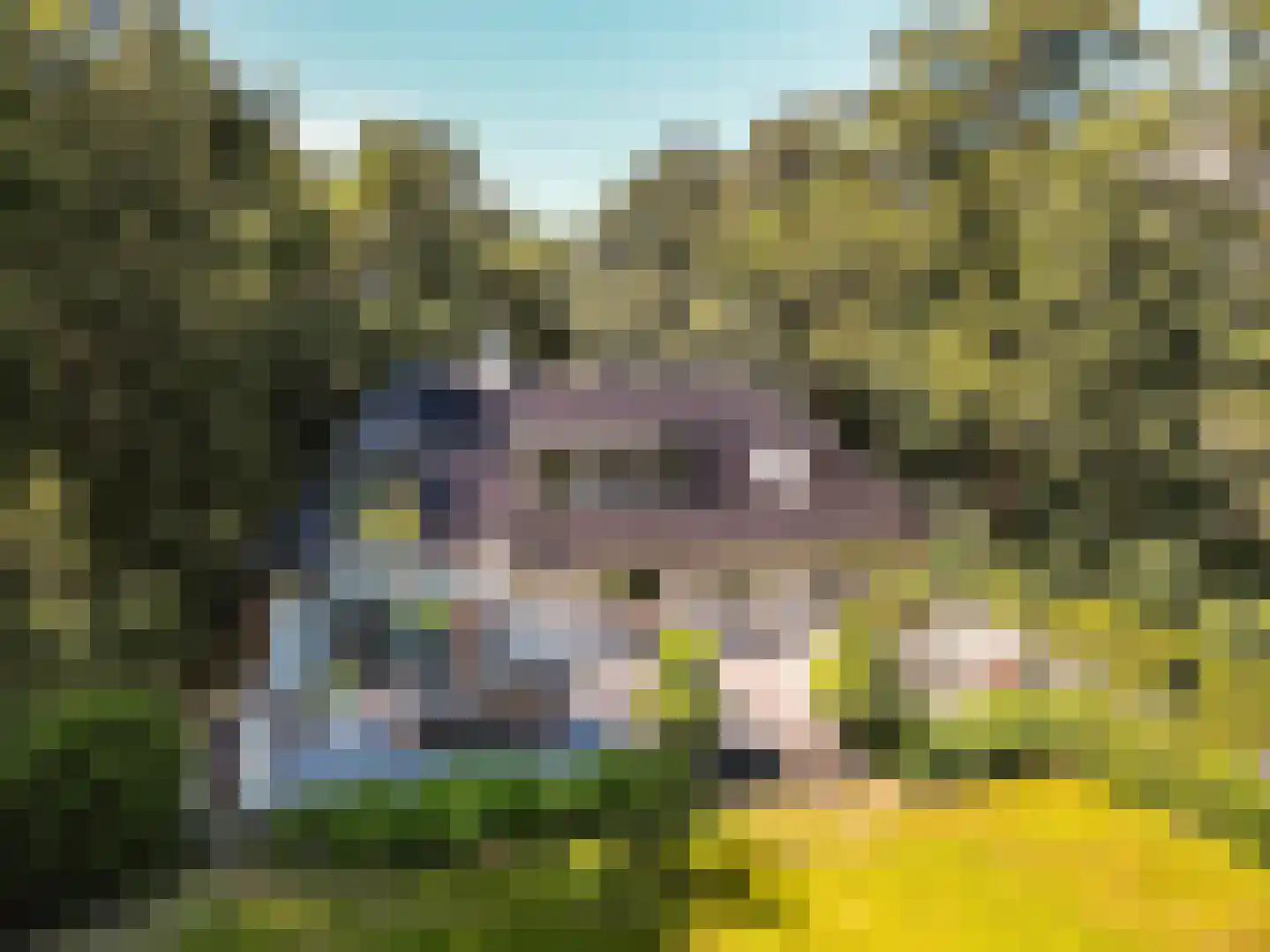 Damweg 1 A 't Harde thumbnail 36