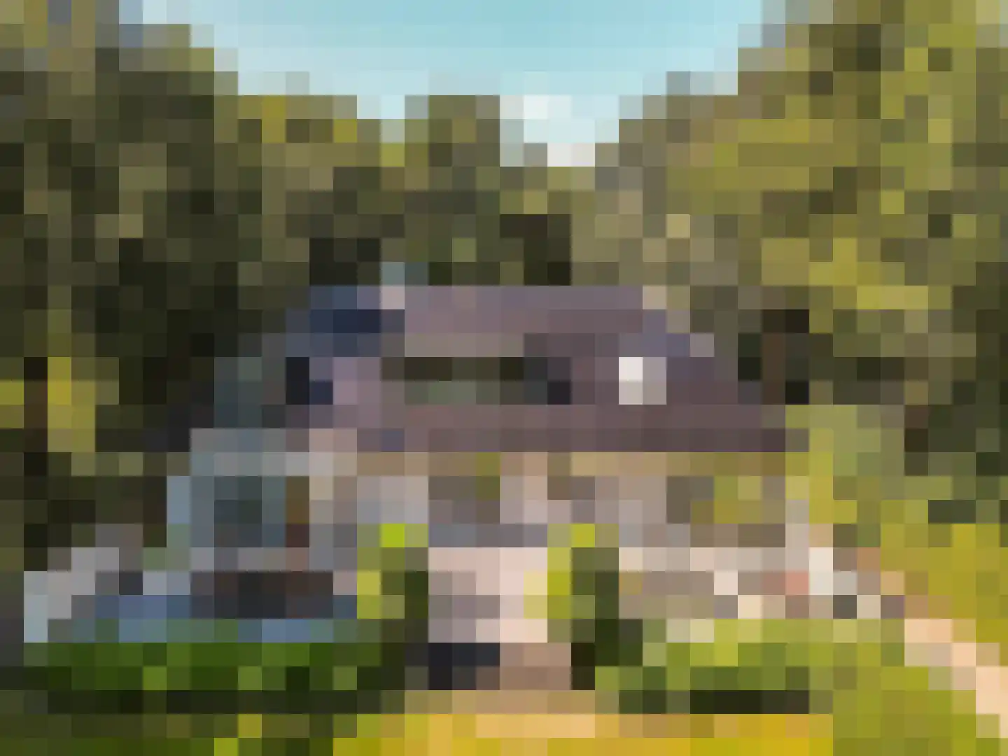 Damweg 1 A 't Harde thumbnail 37