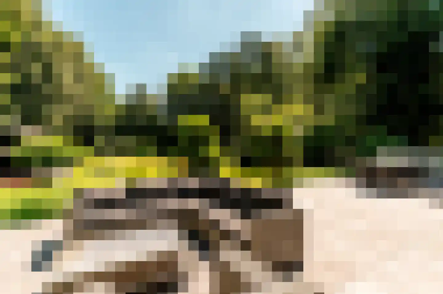 Damweg 1 A 't Harde thumbnail 39
