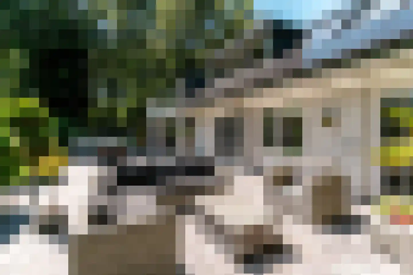 Damweg 1 A 't Harde thumbnail 4