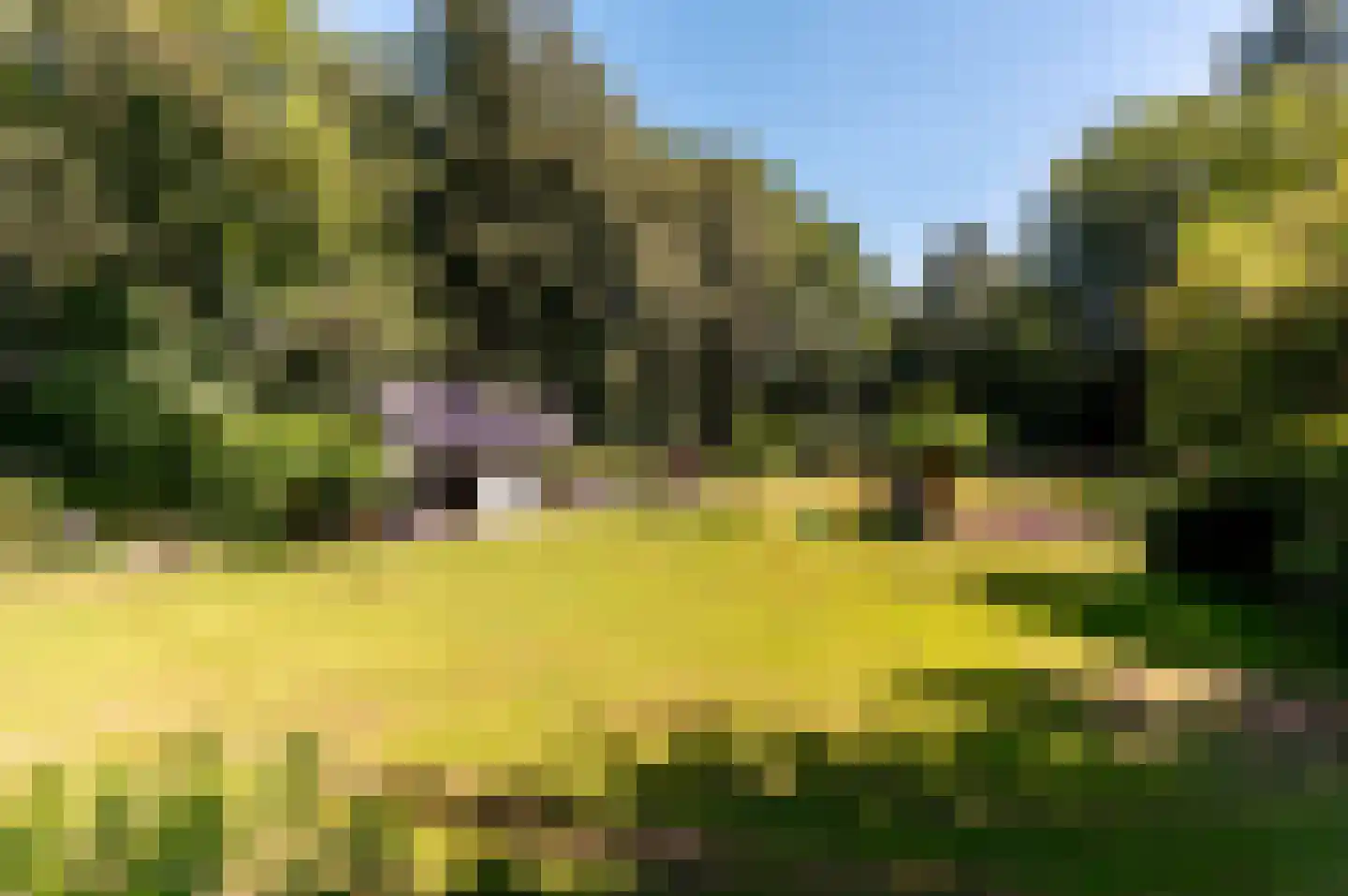 Damweg 1 A 't Harde thumbnail 41