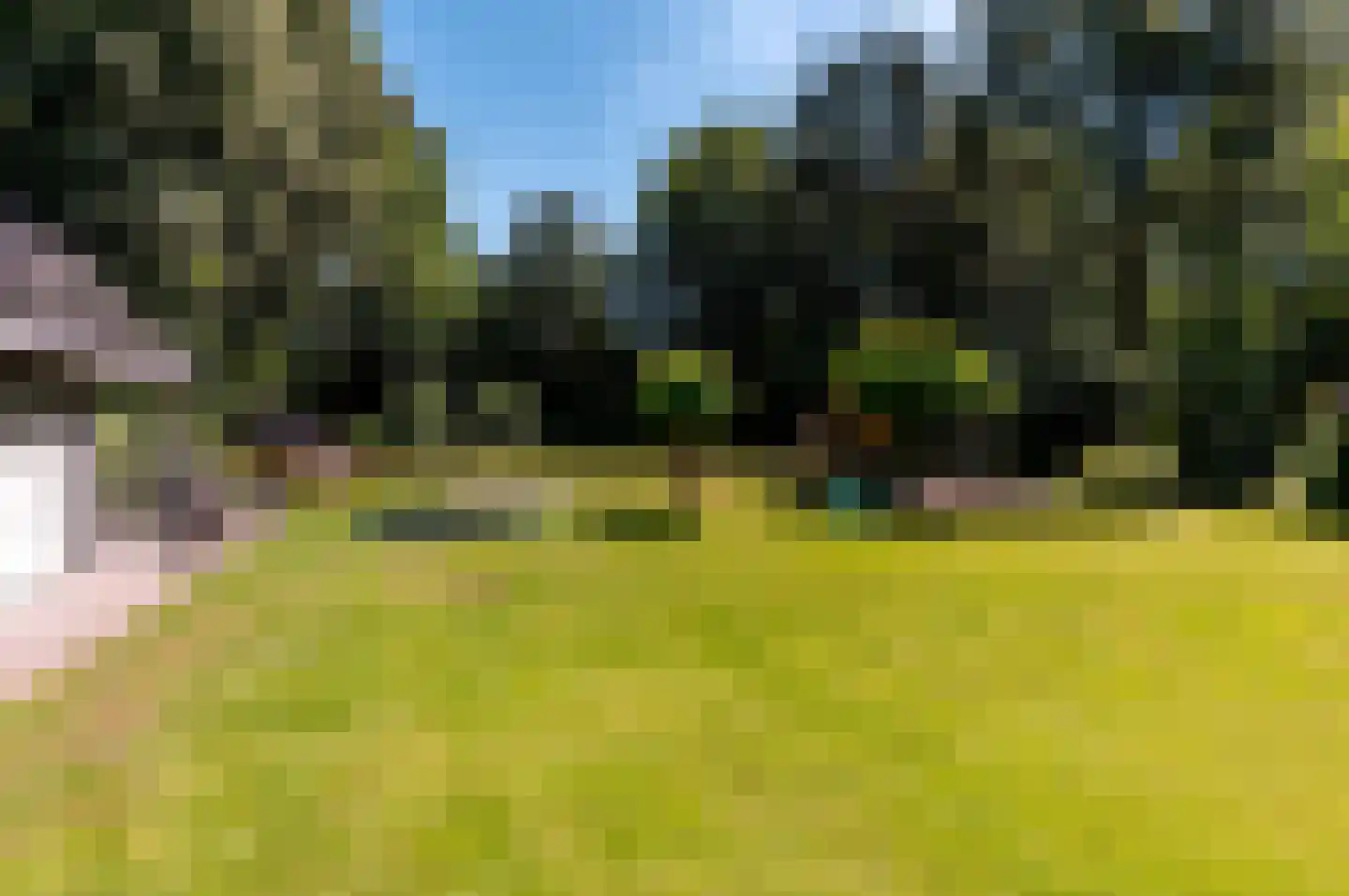 Damweg 1 A 't Harde thumbnail 43