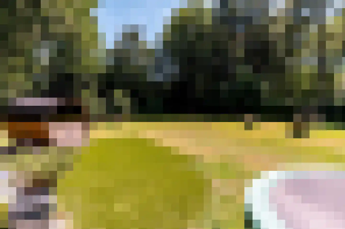 Damweg 1 A 't Harde thumbnail 46