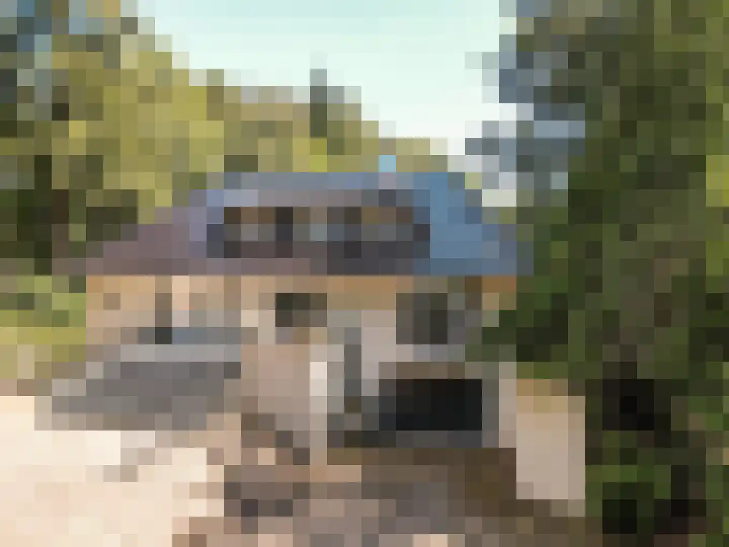 Damweg 1 A 't Harde thumbnail 50