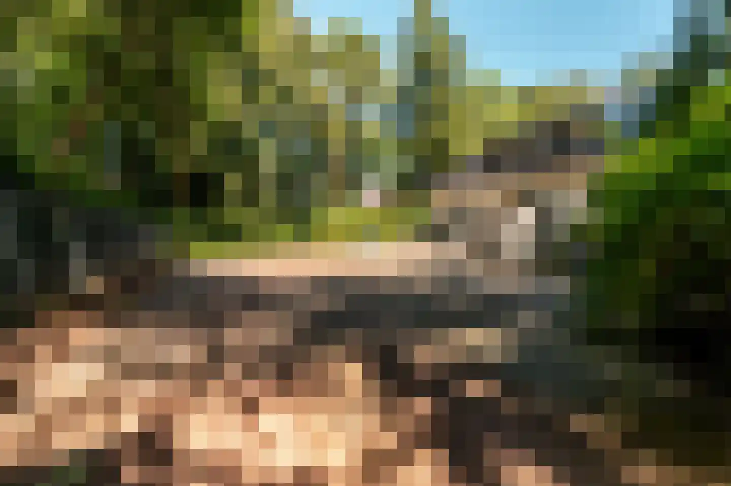 Damweg 1 A 't Harde thumbnail 53