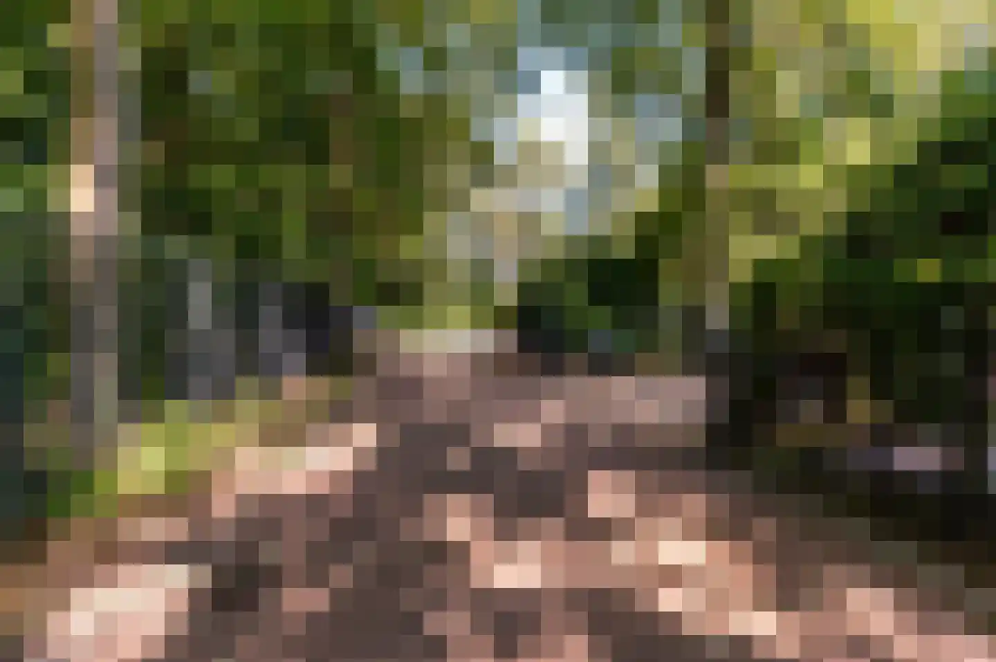 Damweg 1 A 't Harde thumbnail 54