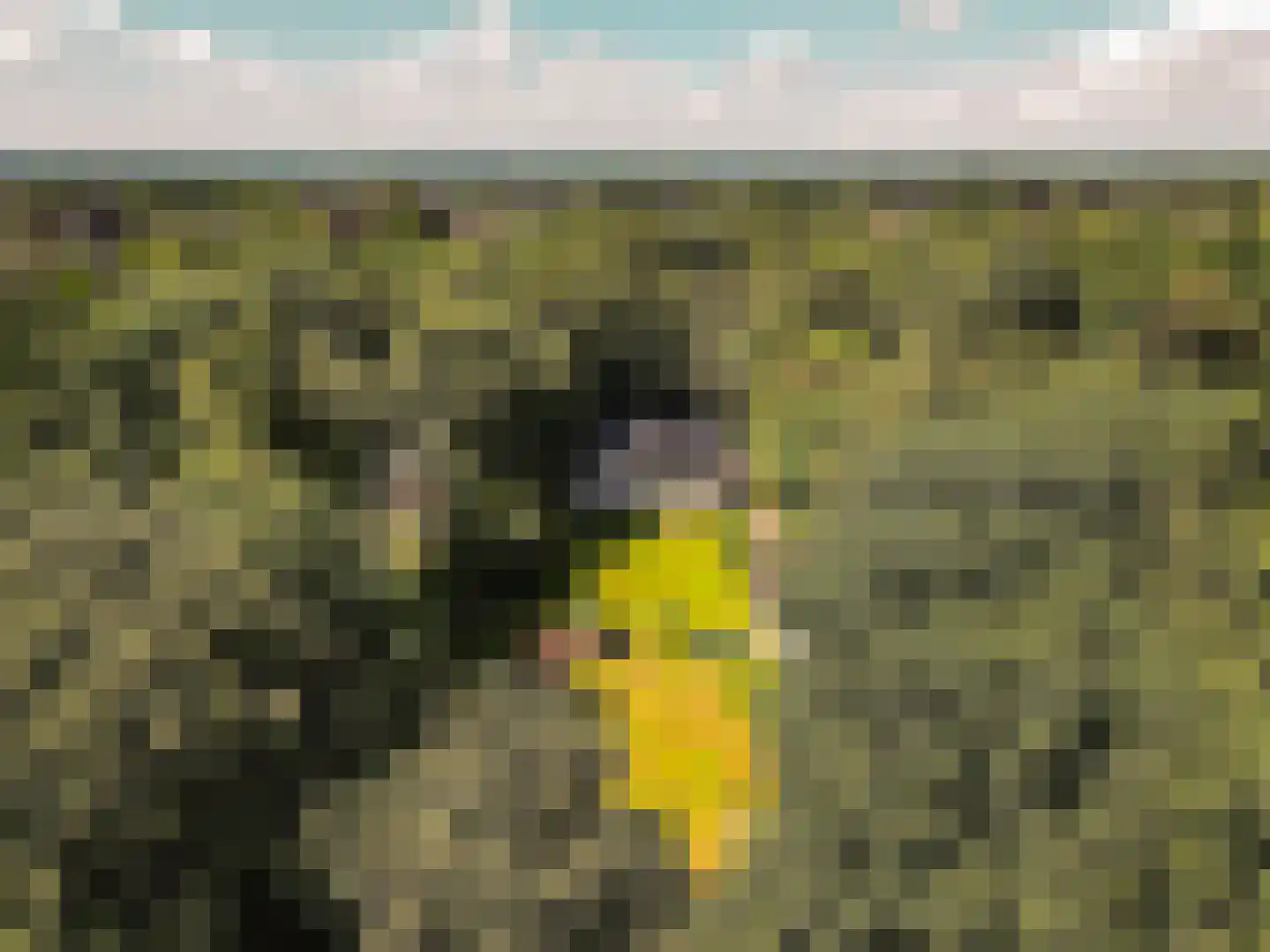 Damweg 1 A 't Harde thumbnail 55