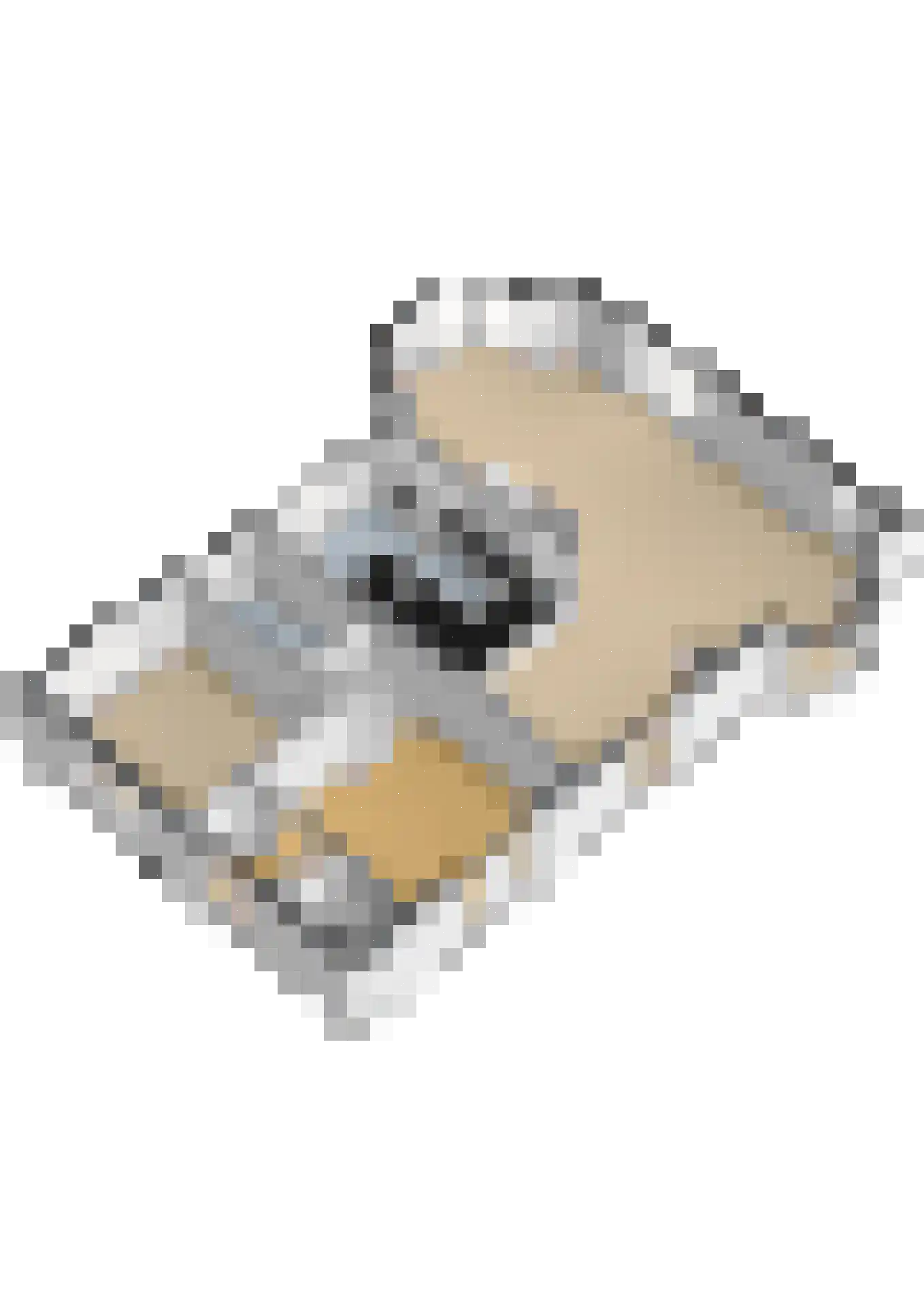 Damweg 1 A 't Harde thumbnail 57