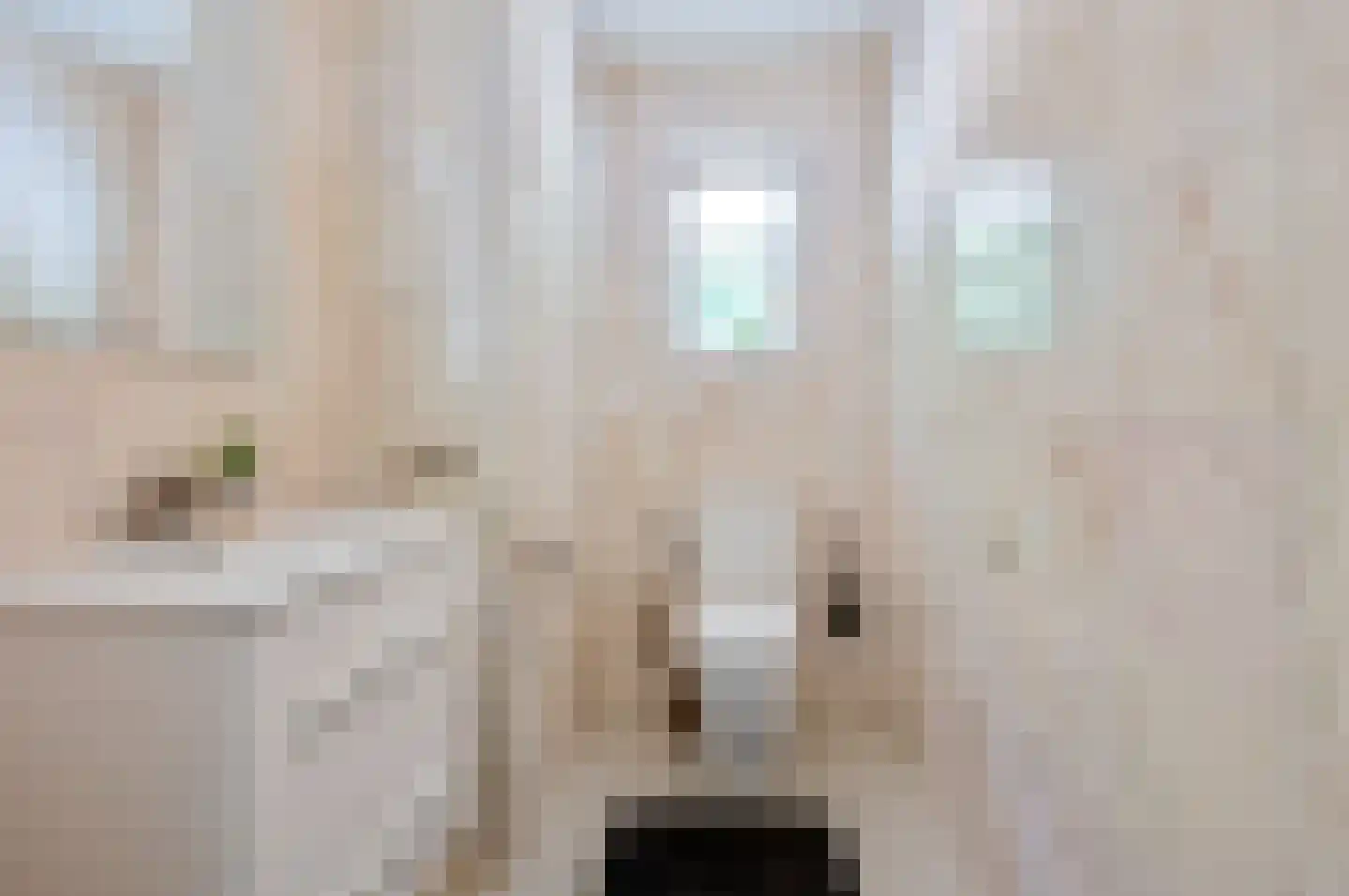 Damweg 1 A 't Harde thumbnail 6
