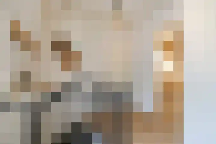 Damweg 10 Ridderkerk thumbnail 15