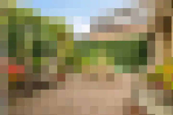 Damweg 10 Ridderkerk thumbnail 25