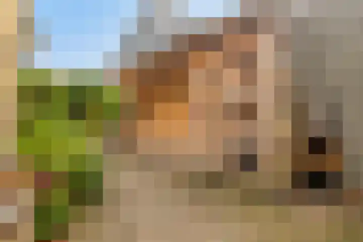 Damweg 10 Ridderkerk thumbnail 28