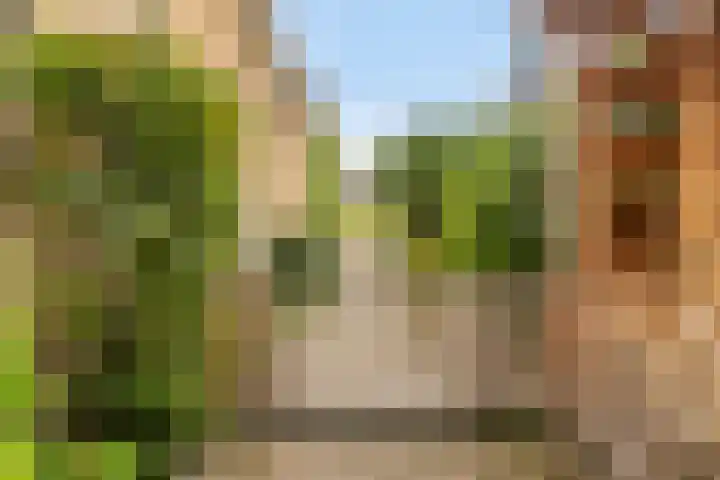 Damweg 10 Ridderkerk thumbnail 29
