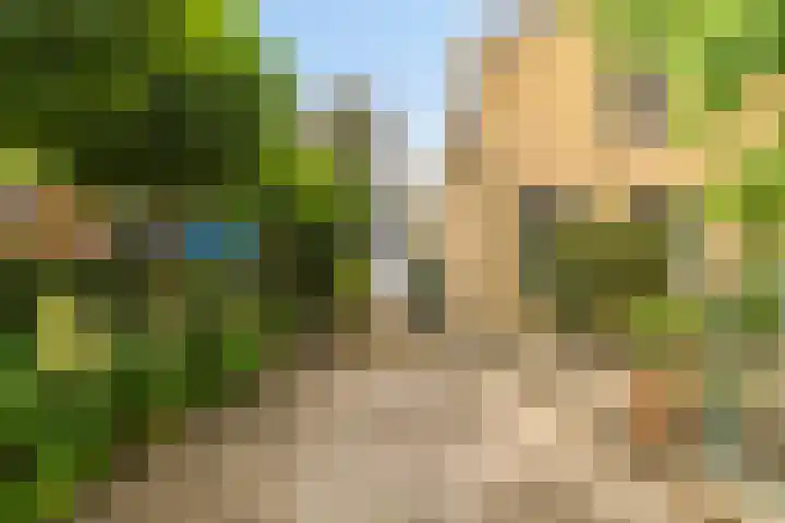 Damweg 10 Ridderkerk thumbnail 33