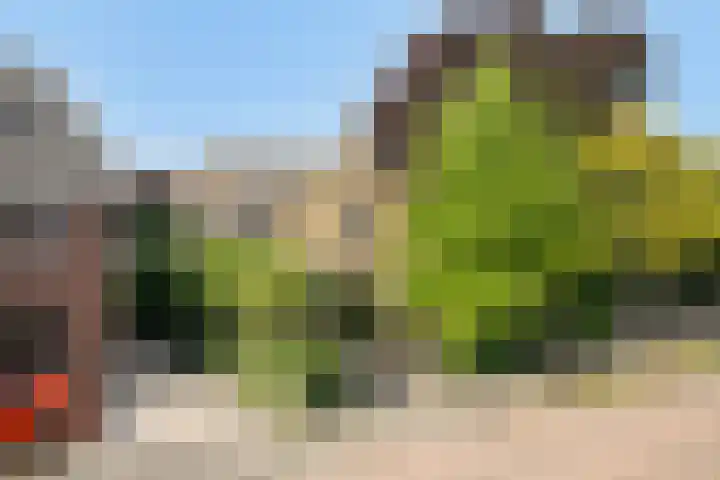 Damweg 10 Ridderkerk thumbnail 34