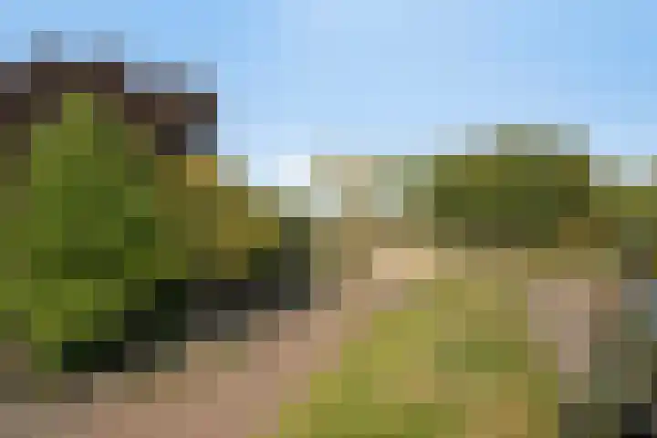 Damweg 10 Ridderkerk thumbnail 36