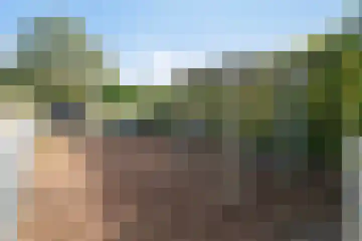 Damweg 10 Ridderkerk thumbnail 37