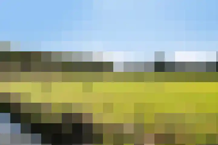 Damweg 10 Ridderkerk thumbnail 38