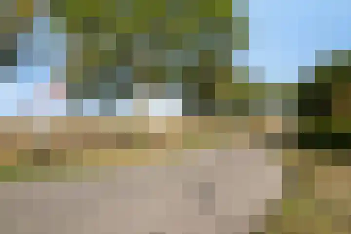 Damweg 10 Ridderkerk thumbnail 39