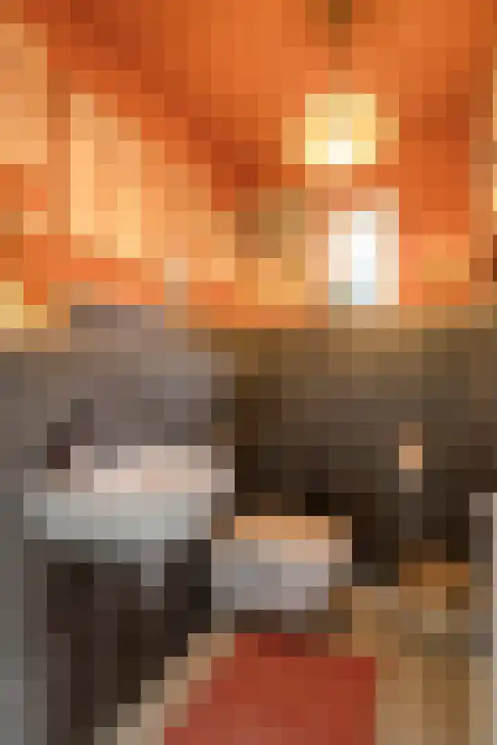 Damweg 10 Ridderkerk thumbnail 44