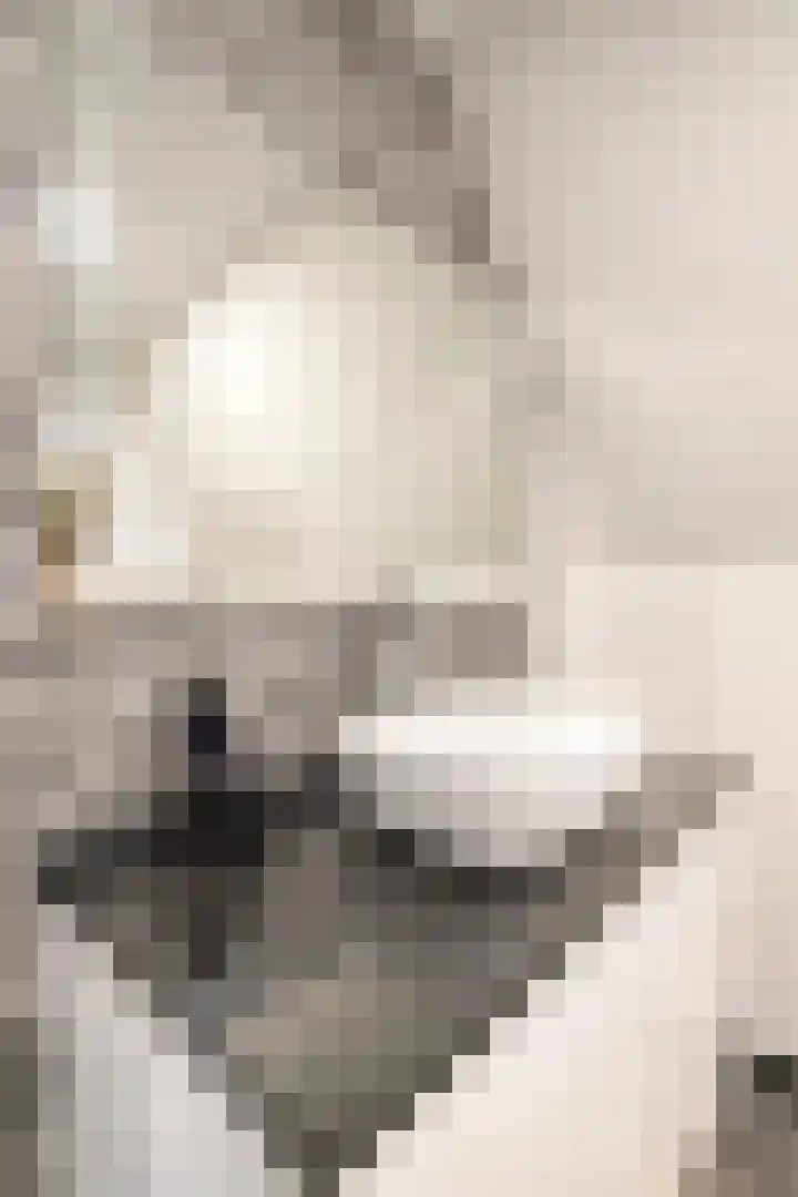 Damweg 10 Ridderkerk thumbnail 47