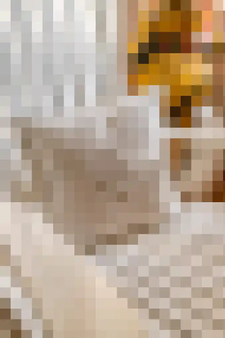 Damweg 10 Ridderkerk thumbnail 48