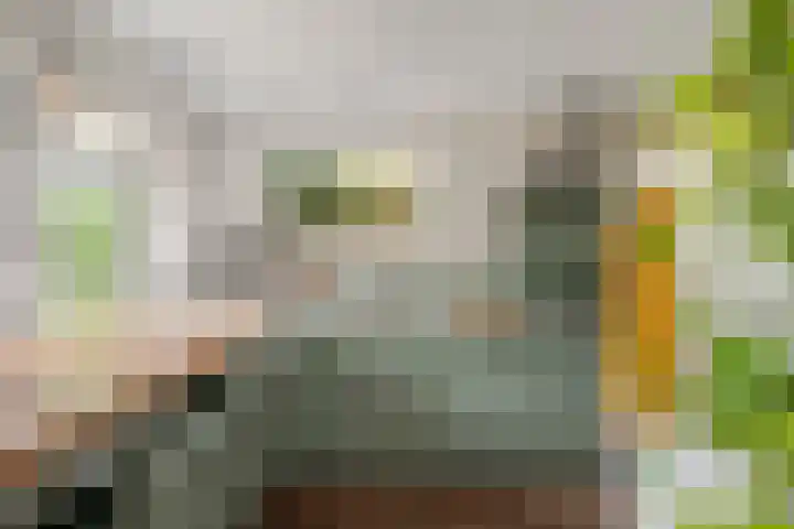 Damweg 10 Ridderkerk thumbnail 9