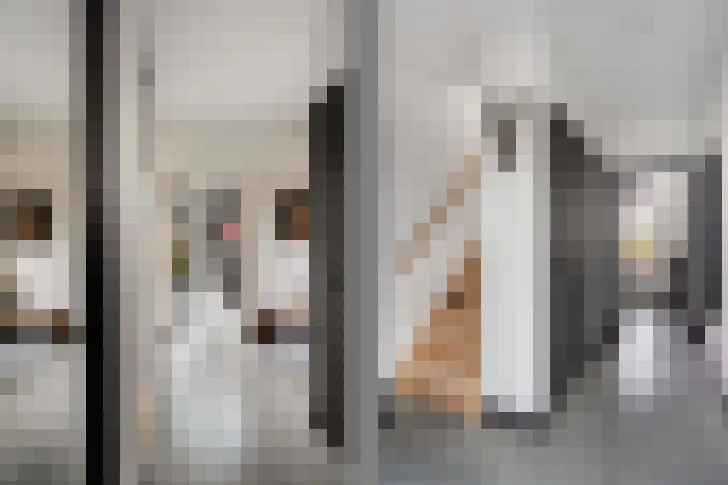 Damweg 27 Schoorl thumbnail 14