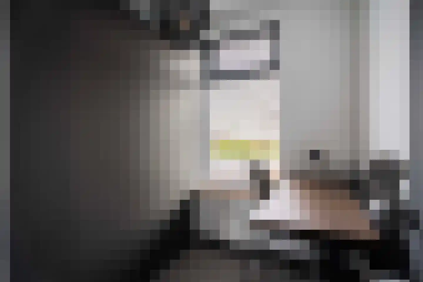 Damweg 27 Schoorl thumbnail 15