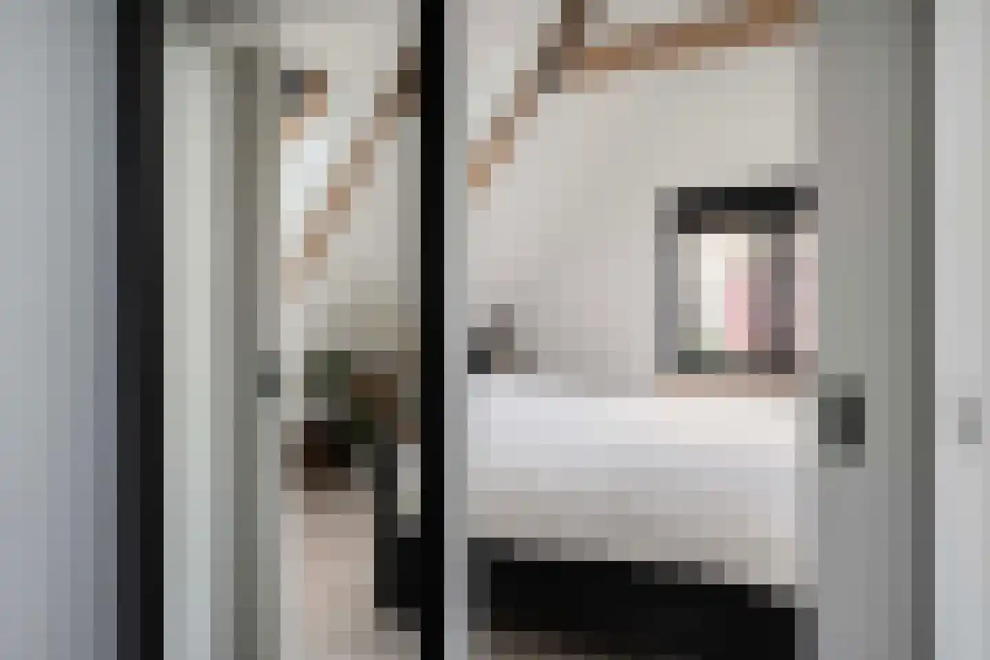 Damweg 27 Schoorl thumbnail 16