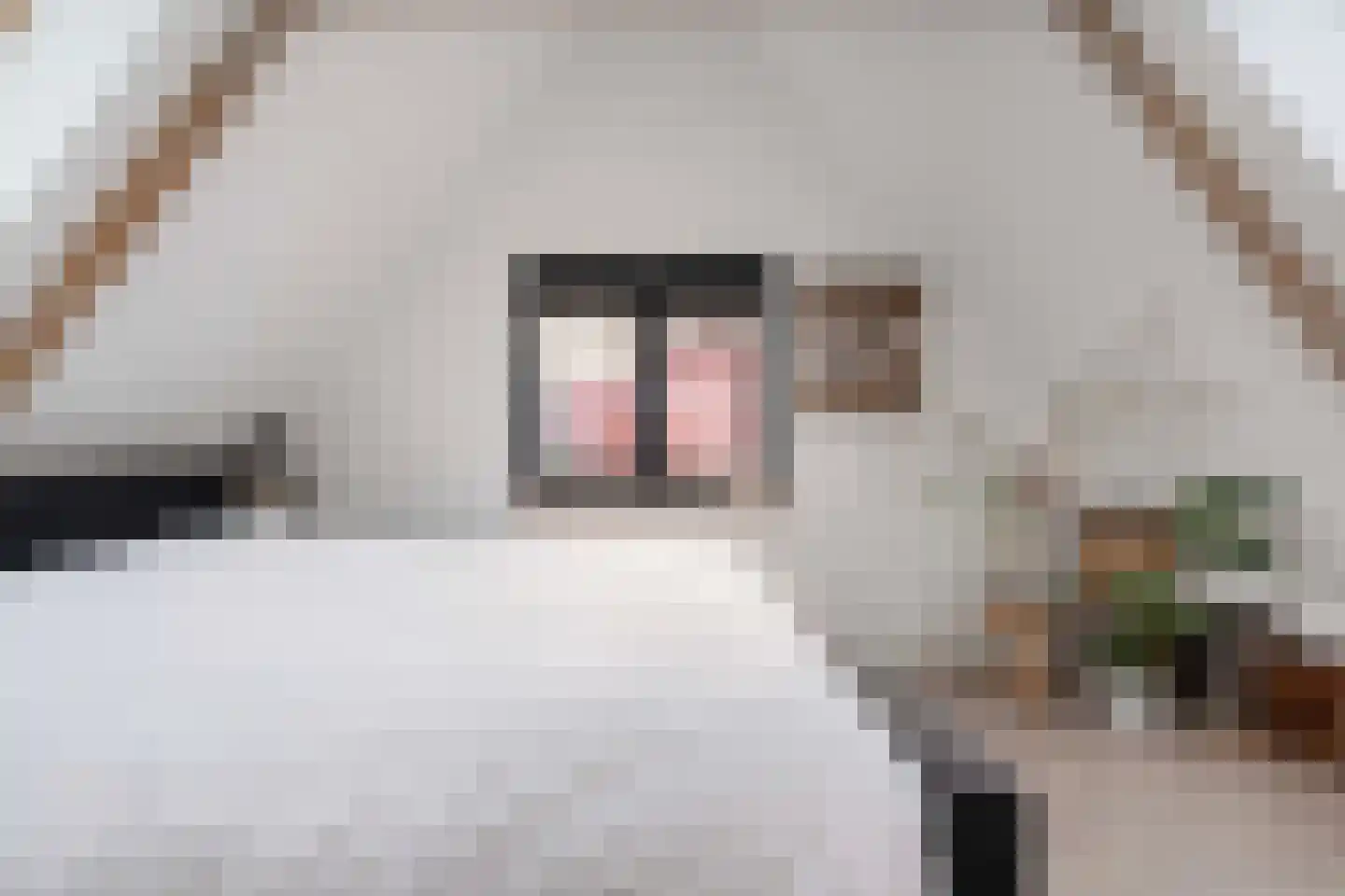 Damweg 27 Schoorl thumbnail 17