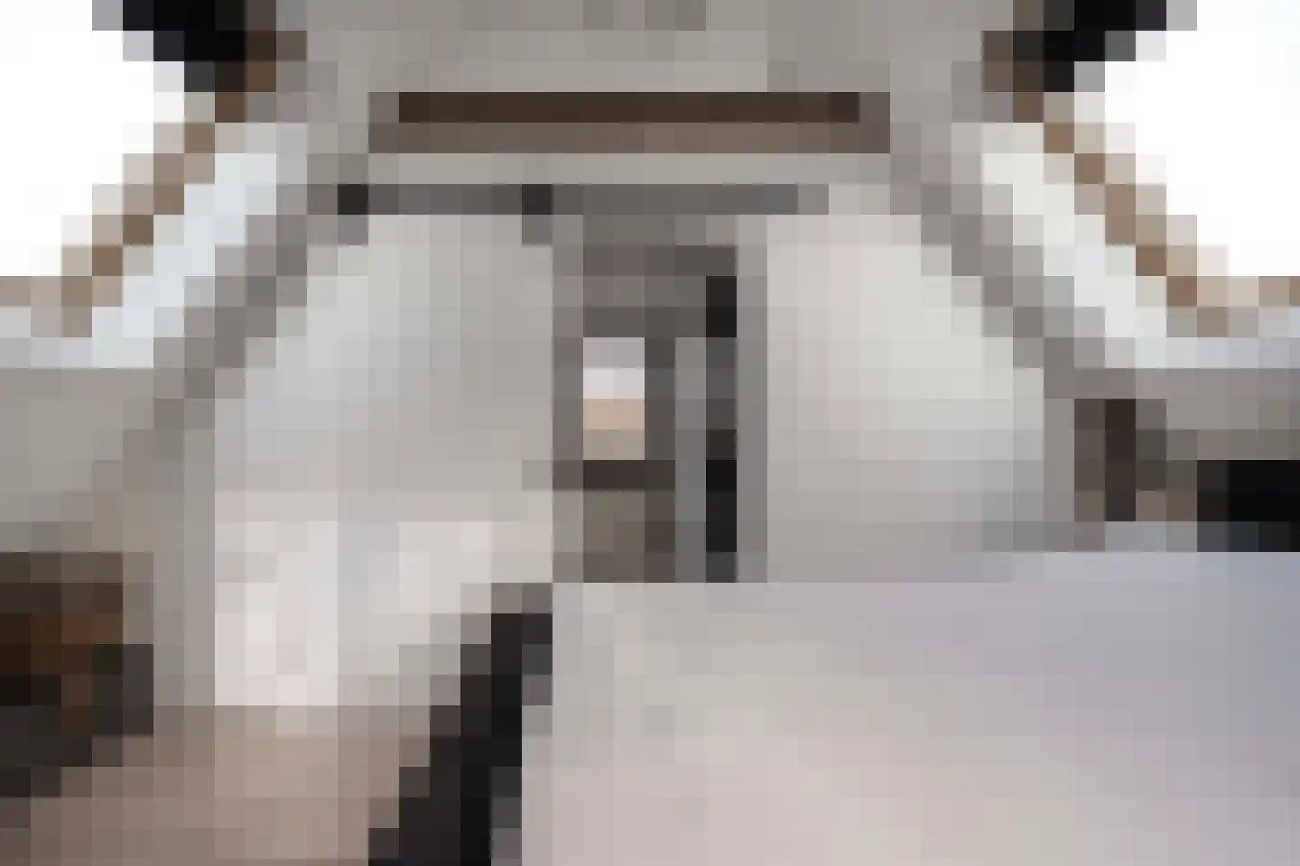 Damweg 27 Schoorl thumbnail 18