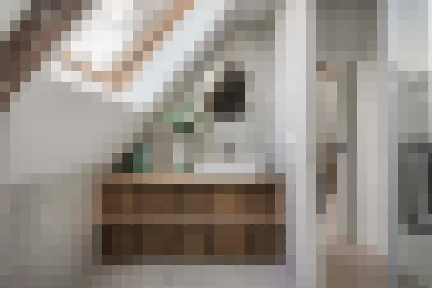 Damweg 27 Schoorl thumbnail 19