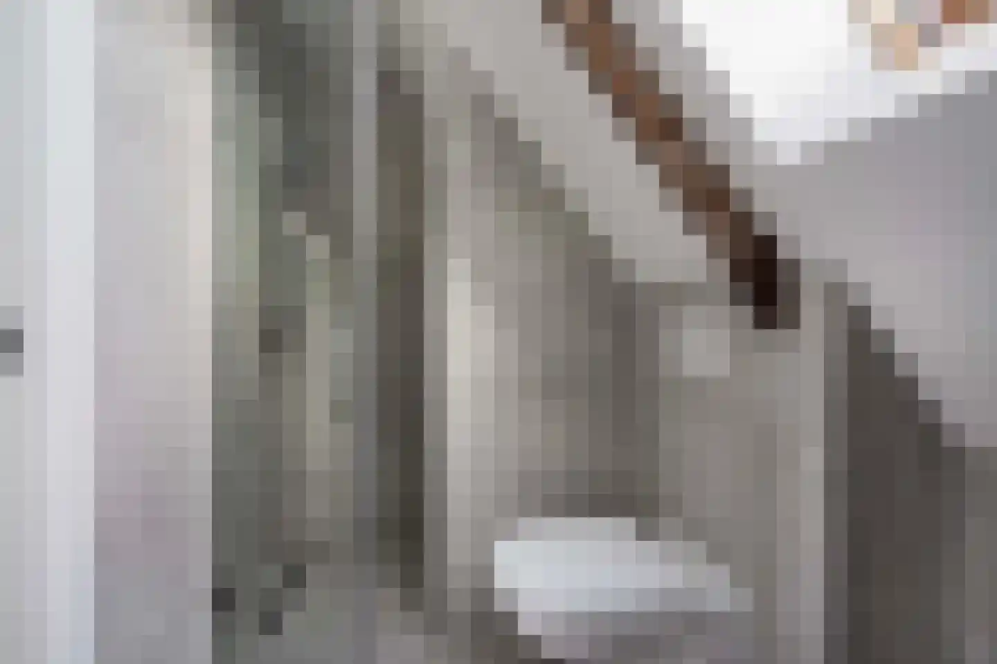 Damweg 27 Schoorl thumbnail 20