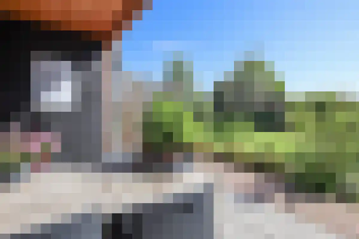 Damweg 27 Schoorl thumbnail 24