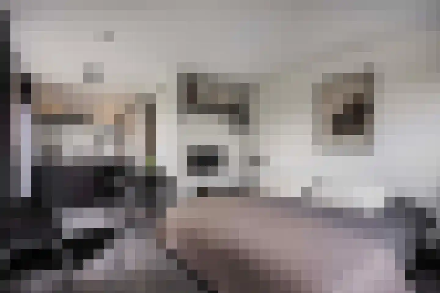 Damweg 27 Schoorl thumbnail 28