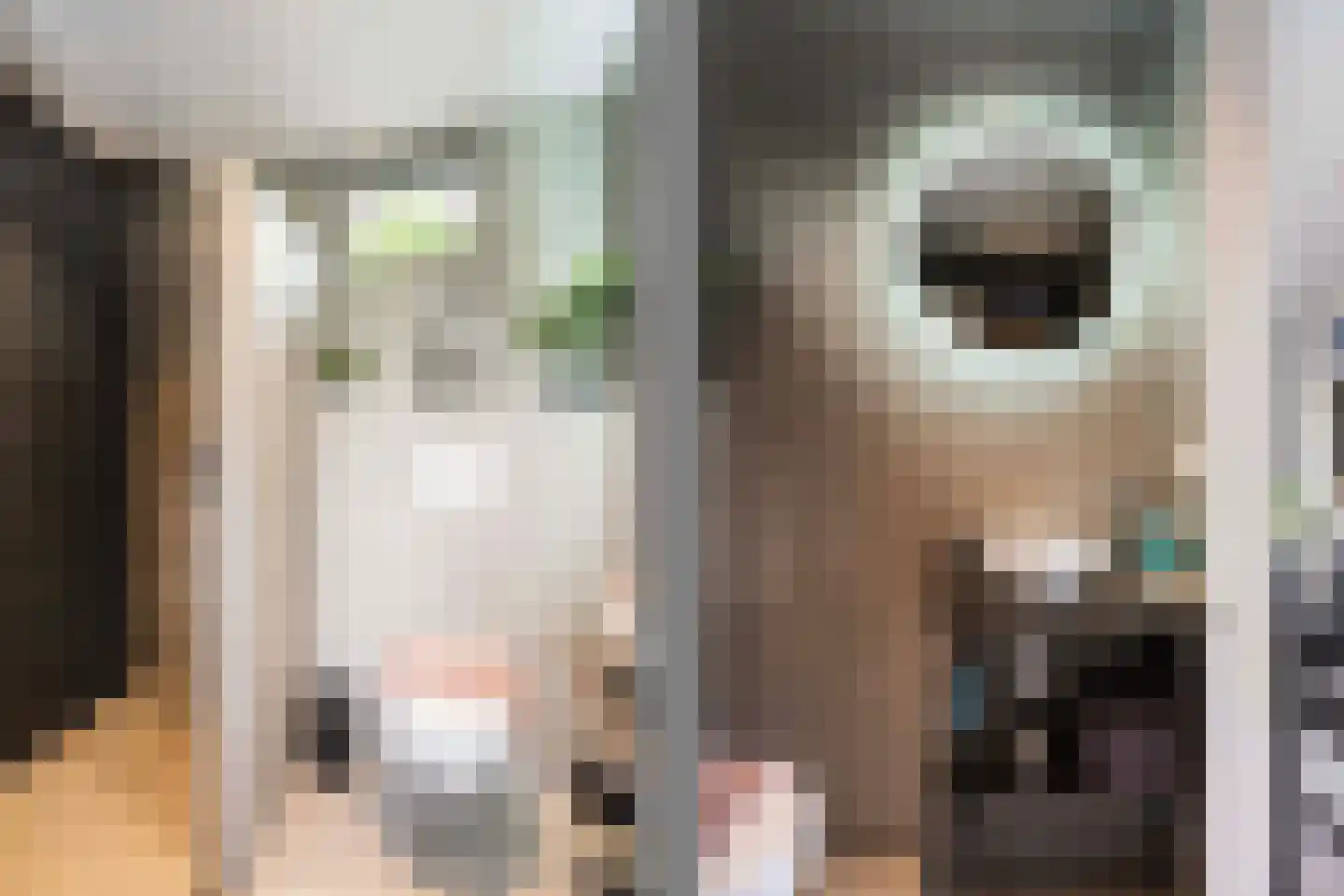 Damweg 27 Schoorl thumbnail 30