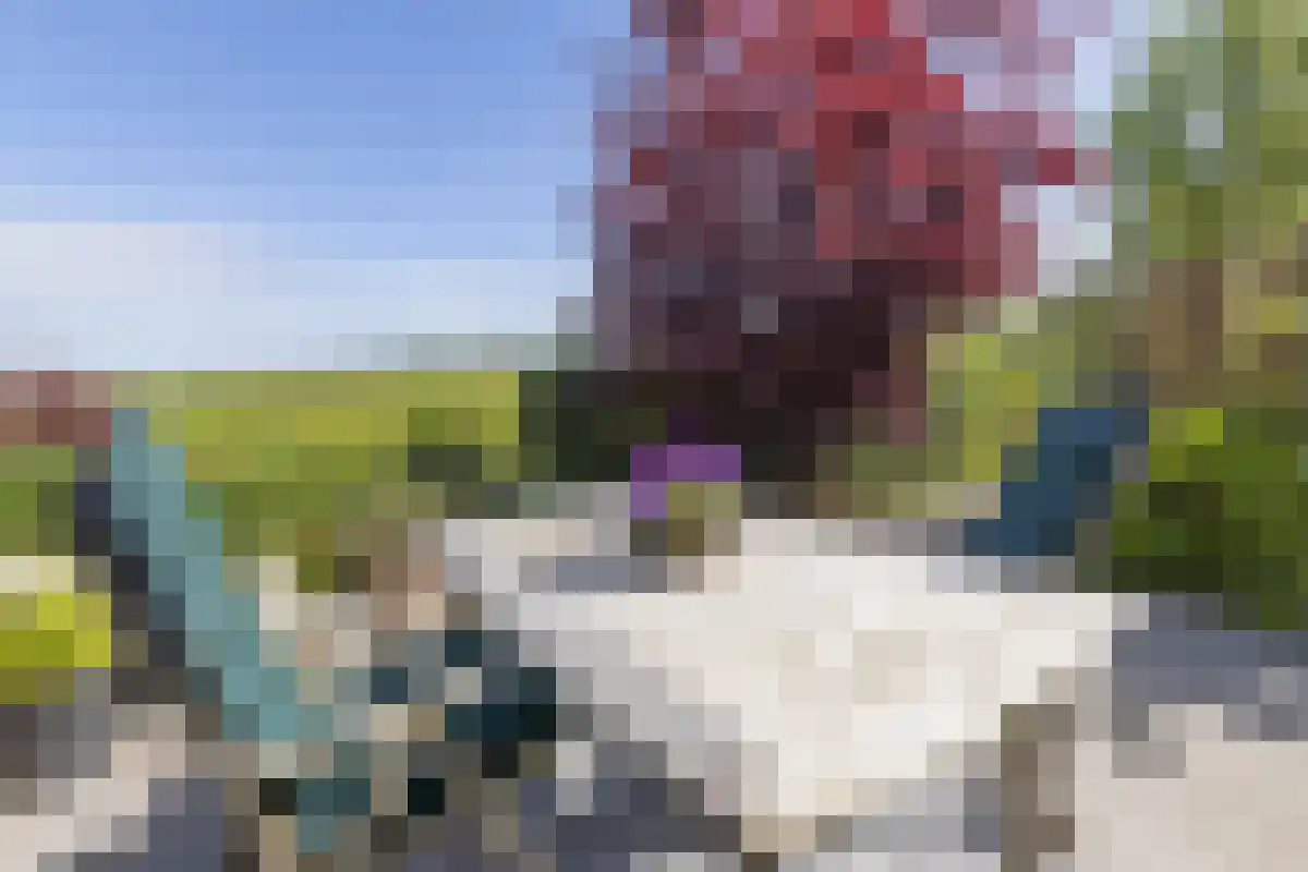 Damweg 27 Schoorl thumbnail 31