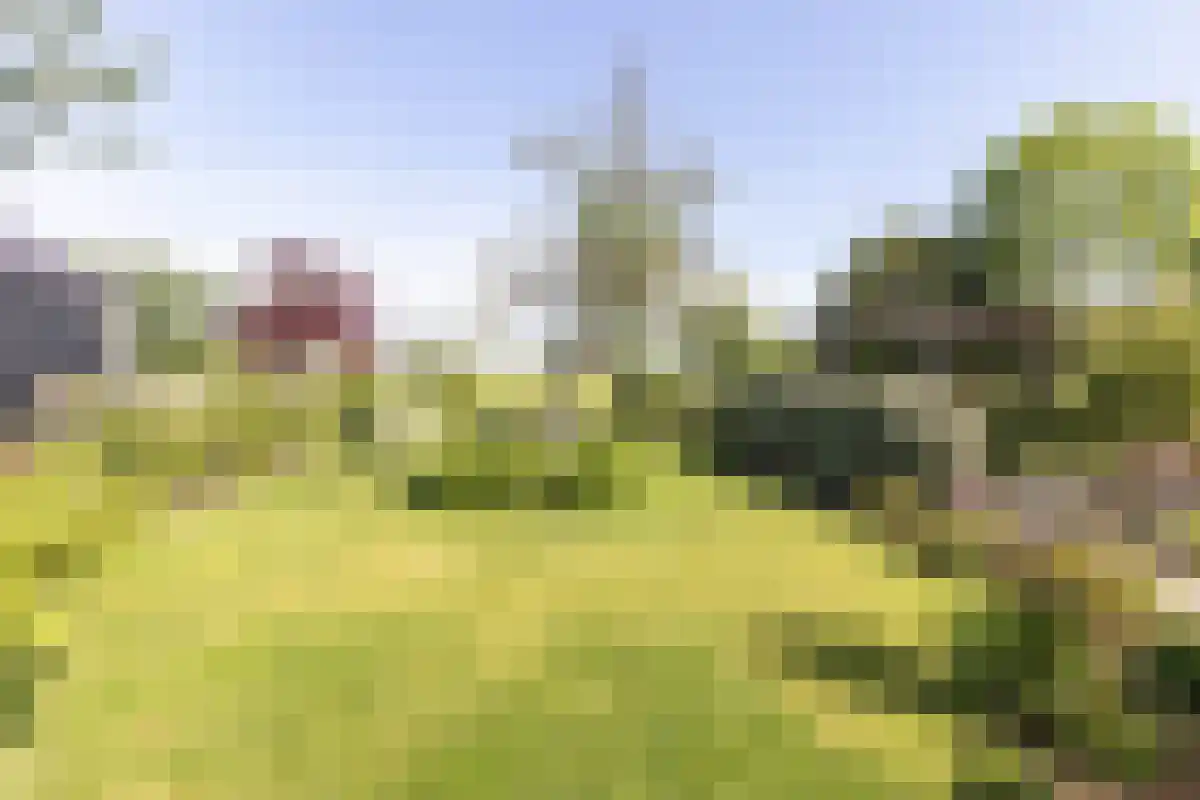 Damweg 27 Schoorl thumbnail 32